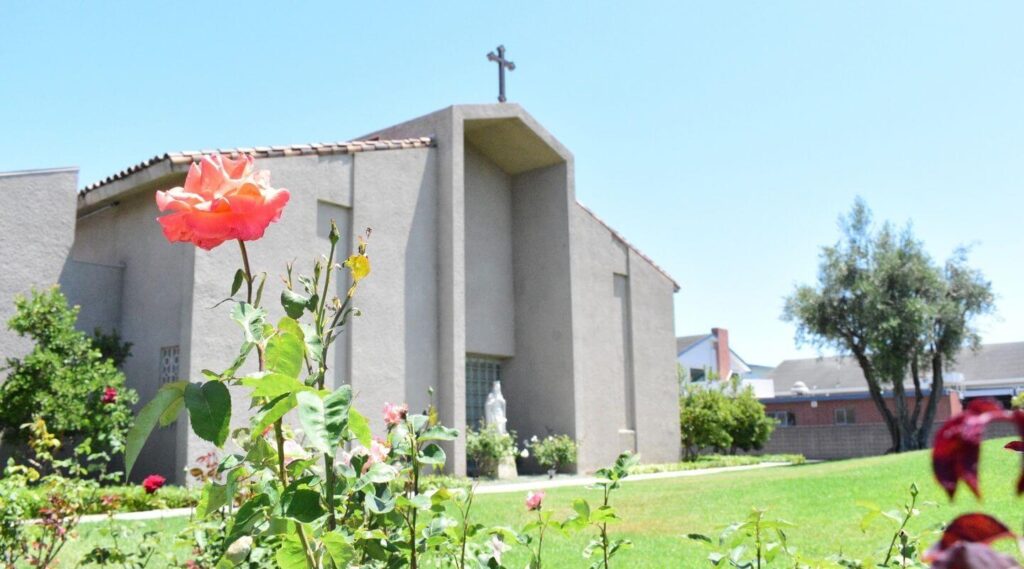 Welcome to Respect Life at St. Hedwig Banner